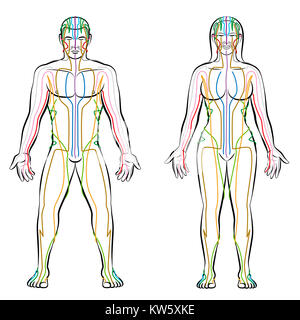 Système méridien - méridiens de couleur de corps masculins et féminins - thérapie alternative traitement mct infographie. Banque D'Images