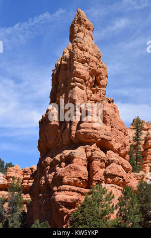 La formation de la roche rouge haut, au haut des arbres verts, et ciel bleu avec des nuages filandreux, en début d'après-midi, dans le Parc National de Bryce Canyon, Utah Banque D'Images