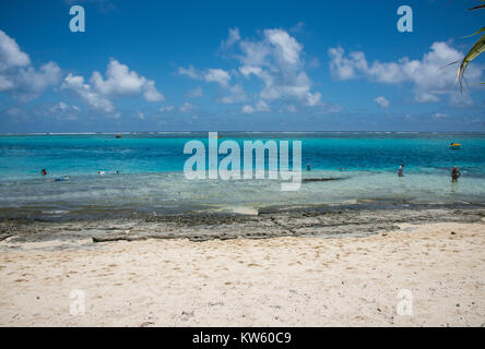 L'île de mystère, Vanuatu, îles du Pacifique : 2,2016 Décembre : Groupe de touristes la natation et la plongée avec tuba dans l'océan à l'île de mystère, Vanuatu Banque D'Images