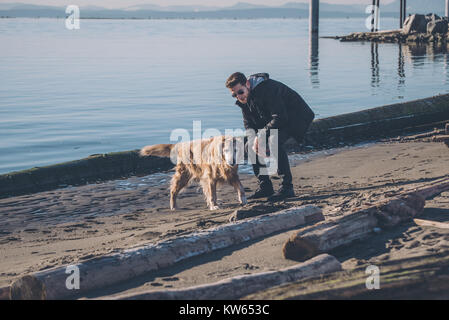 Homme jouant avec golden retriever dog Banque D'Images