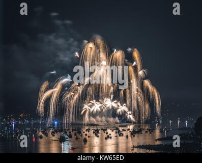 Célébration des feux d'artifice de Vancouver léger Banque D'Images