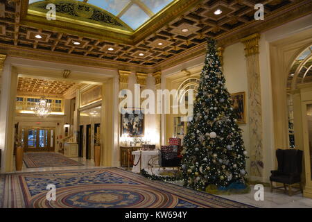 Le Fairmont Copley Plaza à l'arbre de Noël du hall de l'hôtel pendant la saison de vacances. Banque D'Images