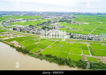 Champ de riz, Minami-Ku, Niigata City, Niigata Prefecture, Japan Banque D'Images