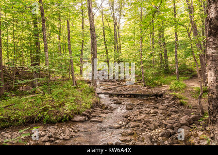 Belle Landsacpe dans 'Les Ruisseaux' Sentier de randonnée, Mont-Tremblant, Québec, Canada Banque D'Images
