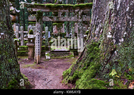 Le Japon, Honshu, Wakayama, sentier de pèlerinage de Kumano Kodo, Koya San, Oku, dans aucun cimetière bouddhiste bouddhiste avec pierre tombale Banque D'Images