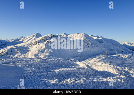 Col noir Banque D'Images