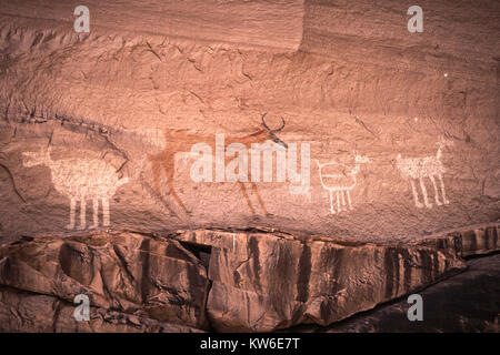 Pétroglyphes Anasazi peint représentant des animaux dans le Canyon de Chelly National Monument, Chinle, Arizona, USA. Banque D'Images