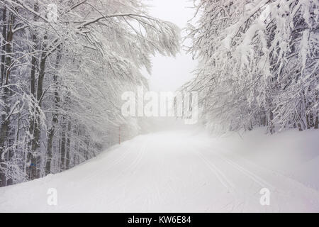Withsnow route couverte de neige dans une forêt sur une gelée et brumeux et moody jour de l'hiver dans les Vosges, France. Banque D'Images