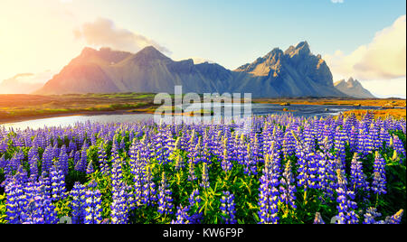 Montagnes sur Vestrahorn Stokksnes célèbre cape Banque D'Images