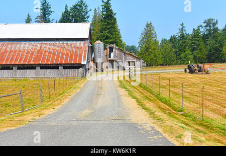 Une ferme de bétail dans le Pacifique Nord-Ouest Ville de Bellingham, Washington, USA. Les champs sont labourés pour la rotation des cultures. Banque D'Images