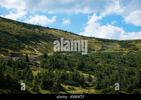 Un cavalier entre les chaînes de montagnes (l'Ukraine, des Carpates, Dragobrat) Banque D'Images