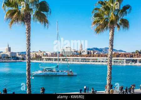 Paseo del Muelle Uno Malaga, port moderne, marina Espagne de Malaga Banque D'Images