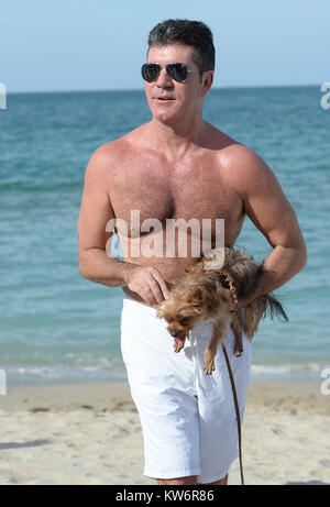 MIAMI, FLORIDE - 24 février : les nouveaux parents Simon Cowell et Lauren Silverman profiter de Miami Beach, avec leur fils Eric Cowell et leur Yorkshire Terriers, Sqiddly et Diddly. Cowell et Silverman se félicite de leur fils le jour de la Saint Valentin il y a 10 jours. Le couple a également émis un avertissement de la police alors qu'il n'y a pas de chiens sur la plage à Miami, politique le 24 février 2014 à Miami, Floride Personnes : Simon Cowell Banque D'Images