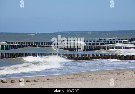 Bois épis, la défense de la côte à côte, Ahrenshoop, mer Baltique, Fishland, Mecklembourg-Poméranie-Occidentale, Allemagne, Europe Banque D'Images