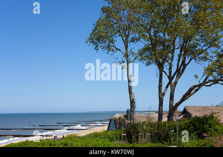 Maison au toit de chaume à la côte d'Ahrenshoop, Fishland, Mecklembourg-Poméranie-Occidentale, Allemagne, Europe Banque D'Images