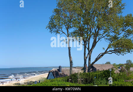 Maison au toit de chaume à la côte d'Ahrenshoop, Fishland, Mecklembourg-Poméranie-Occidentale, Allemagne, Europe Banque D'Images