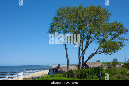 Maison au toit de chaume à la côte d'Ahrenshoop, Fishland, Mecklembourg-Poméranie-Occidentale, Allemagne, Europe Banque D'Images