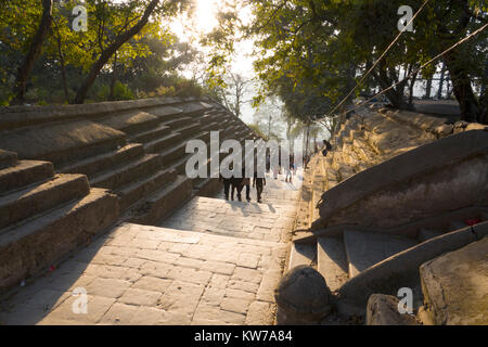 Les gens marcher marches de pierre du temple de Pashupatinath dans Kathmadu, Népal Banque D'Images