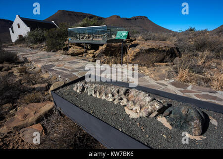 Fossil Trail, à la reproduction Bradysaurus squelette, Karoo national park rest camp, Western Cape, Afrique du Sud, septembre 2017 Banque D'Images