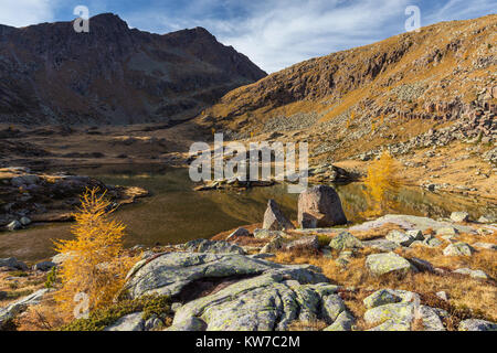 Lac alpin de Juributin. Pic Cima Bocche. Mélèze (Larix decidua) saison d'automne. Trentin, Alpes Italiennes. Europe. Banque D'Images