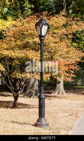 Un lampadaire dans Central Park, New York est représenté à l'automne feuillage. Banque D'Images