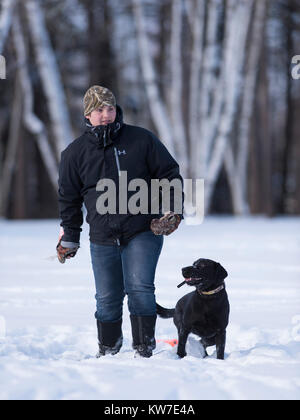 Jouer fetch avec un Labrador noir sur une froide journée d'hiver dans la neige Banque D'Images