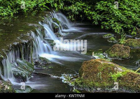 La rivière Dove circulant sur un petit barrage de la vallée boisée de Beresford Dale dans le parc national de Peak District, England, UK Banque D'Images