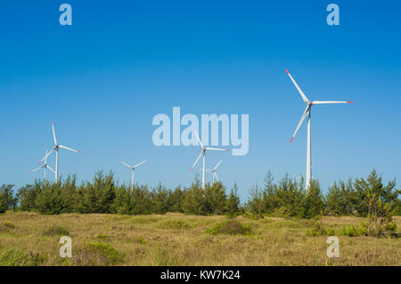 Grand concept des énergies renouvelables, l'énergie durable. Avec champ de vent Éoliennes, produisant de l'énergie éolienne dans le cadre de ciel bleu. Banque D'Images