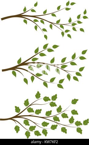 Ensemble de 3 brown floral vecteur branches avec des feuilles vertes Illustration de Vecteur