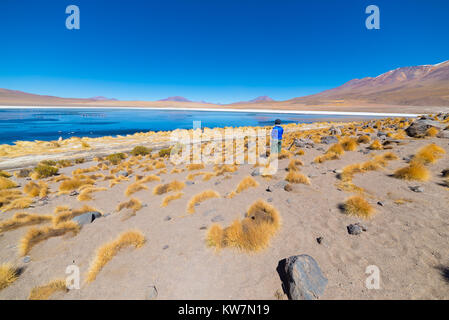 À tourisme Honda 'Laguna', la glace d'un lac salé avec des flamants roses sur le chemin de la célèbre Uyuni Salt Flat, destination touristique dans la Bolivie. Vue grand angle Banque D'Images