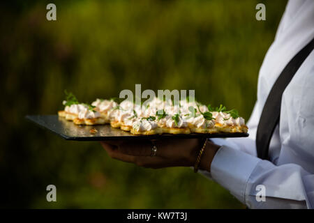 Garden party de mariage réception avec des canapés servis aux clients à Taunton Banque D'Images