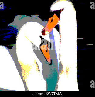 Swan Mates - résumé de deux cygnes tuberculés homme et femme Banque D'Images