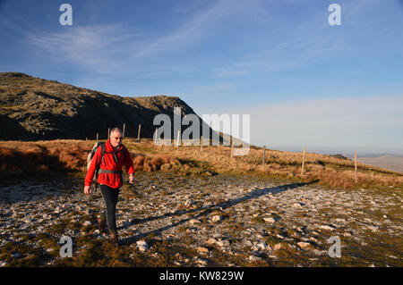 Homme seul Hillwaker sur une crête de quitter le sommet de la Welsh Mountain Abrie en direction de Drws Bach dans le Parc National de Snowdownia, Pays de Galles, Royaume-Uni. Banque D'Images