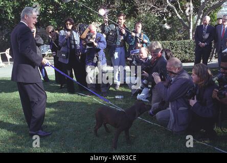 Le président Bill Clinton, portant costume, se dresse sur la presse, tapi dans une foule en face de lui les caméras et microphones holding clignotant, comme il présente le nouveau premier animal, Buddy le chien, un labrador brun bleu reliés par une laisse, reniflant l'un des reporters dans l'herbe sur la pelouse de la Maison Blanche, Washington, District de Columbia, le 16 décembre 1997. Banque D'Images