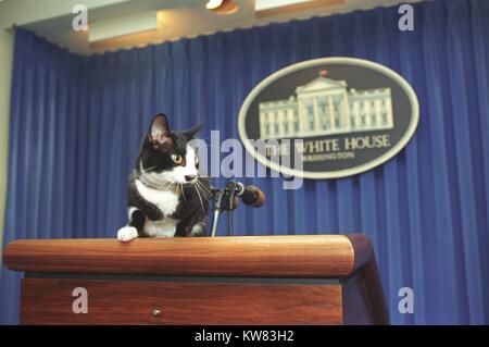 Socks the Cat, le premier animal du Président Bill Clinton et première épouse Hillary Rodham Clinton, à pelage noir, visage blanc, et les yeux ambre, debout comme si prêt à bondir à l'extérieur du bord de la presse Podium dans la salle de presse de la Maison Blanche, à côté d'un microphone et avec joint officiel de la Maison Blanche à l'avant du rideau bleu en arrière-plan, Washington, District de Columbia, le 5 décembre 1993. Banque D'Images