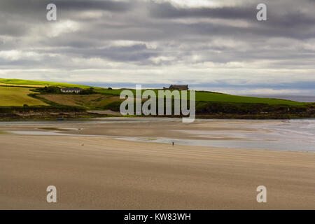 Man Walking dog sur plage déserte sur la côte sud de l'Irlande. Banque D'Images