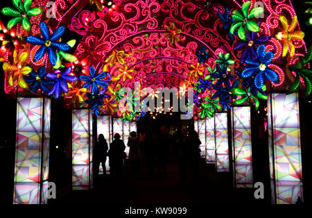 Wuhan, province du Hubei en Chine. 1er janvier 2018. Les gens apprécient les lanternes de fête dans la ville de Wuhan, province du Hubei en Chine centrale, le 1 er janvier 2018. Credit : Cheng Min/Xinhua/Alamy Live News Banque D'Images