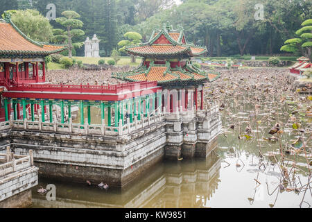 Historique version fnang miniature chinois hu sheng jing Banque D'Images