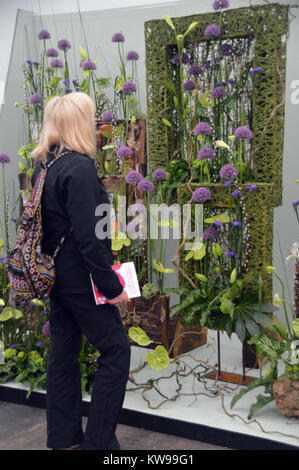 Femme seule à l'écran d'allium dans l'art floral chapiteau au Harrogate Spring Show. Yorkshire, Angleterre, Royaume-Uni. Banque D'Images