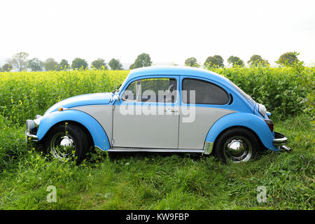 Volkswagen Beetle. Voiture automobile classique, VW Beetle 1300, Volkswagen Beetle moteur, vintage VW Beetle, voiture ancienne, photo Kazimierz Jurewicz, Banque D'Images