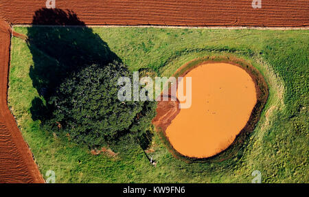 Vue aérienne du domaine agricole avec arbre et trou d'eau dans les régions rurales de l'Australie Banque D'Images