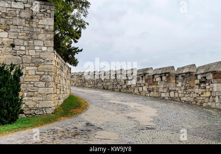 Route de l'ancien château. Banque D'Images