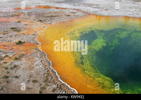 Le fameux matin gloire extérieure dans le Parc National de Yellowstone, États-Unis Banque D'Images