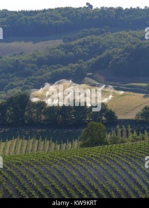 Les grandes cultures agricoles d'être arrosé de gicleurs dans le sud de la France de la brume sèche montrant vignes en premier plan Banque D'Images