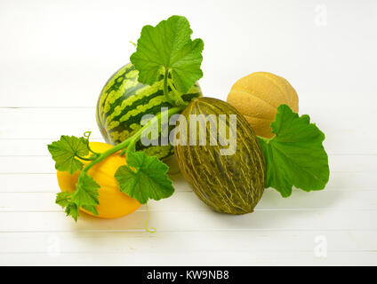 Différents types de melon sur fond de bois blanc Banque D'Images