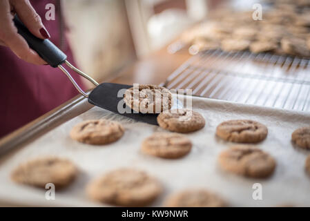 Gros plan du gingembre maison des cookies soient placés sur le rack de refroidissement Banque D'Images