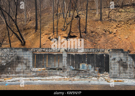 Conséquences des incendies de forêt, novembre 2016, Gatlinburg, Tennessee, USA, par Bill Lea/Dembinsky Assoc Photo Banque D'Images