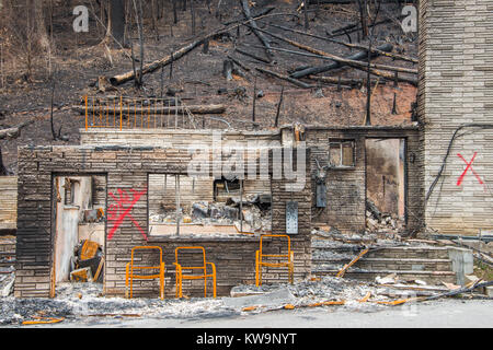 Conséquences des incendies de forêt, novembre 2016, Gatlinburg, Tennessee, USA, par Bill Lea/Dembinsky Assoc Photo Banque D'Images