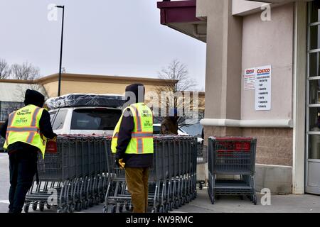 Les employés de Costco poussant des caddies chez Costco à Washington DC, USA Banque D'Images