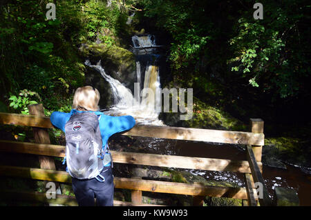 Une femme s'appuyant sur une clôture à la Cascade à Pecca sur la rivière Twiss partie de la marche des chutes d''Ingleton Yorkshire Dales National Park, England Banque D'Images